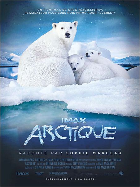 Arctique |FRENCH| [BRRip]