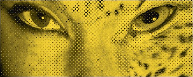 Le 65ème Festival de Locarno, c'est parti !