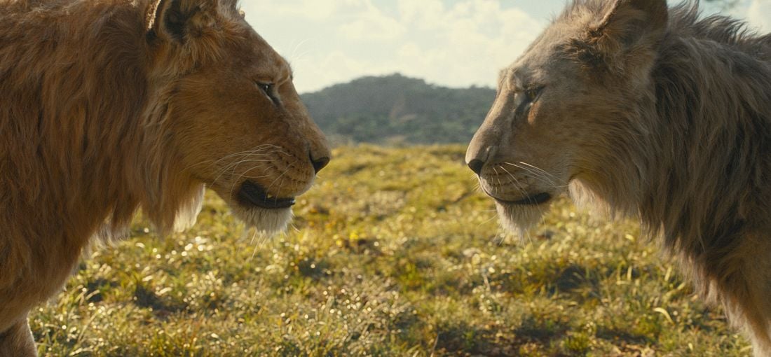 Photo du film Mufasa : Le Roi Lion