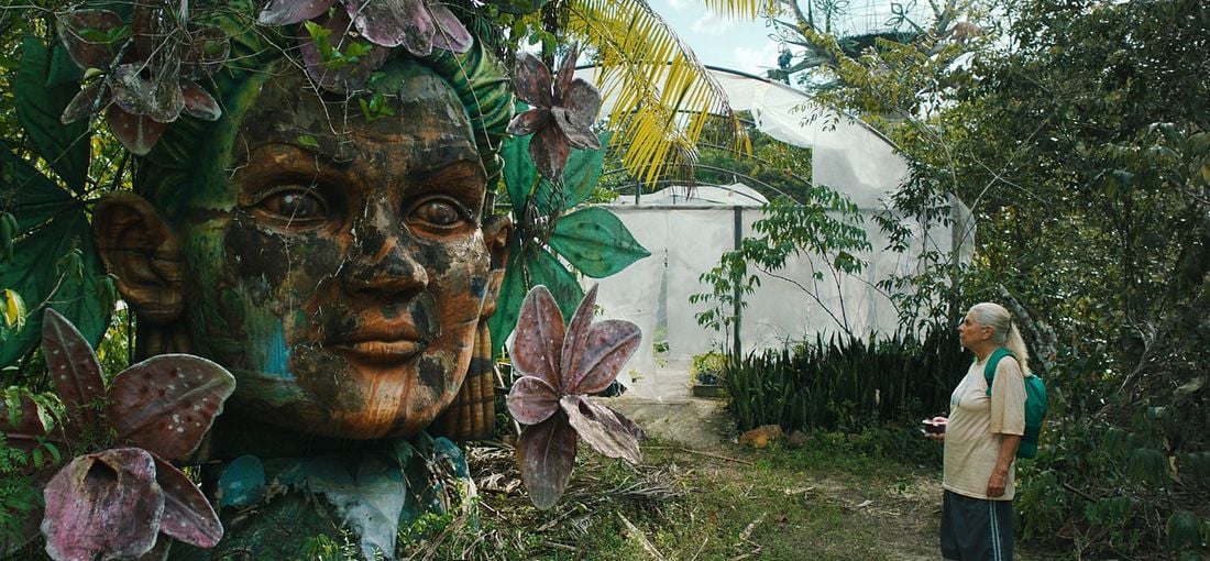 Photo du film Les Voyages de Tereza