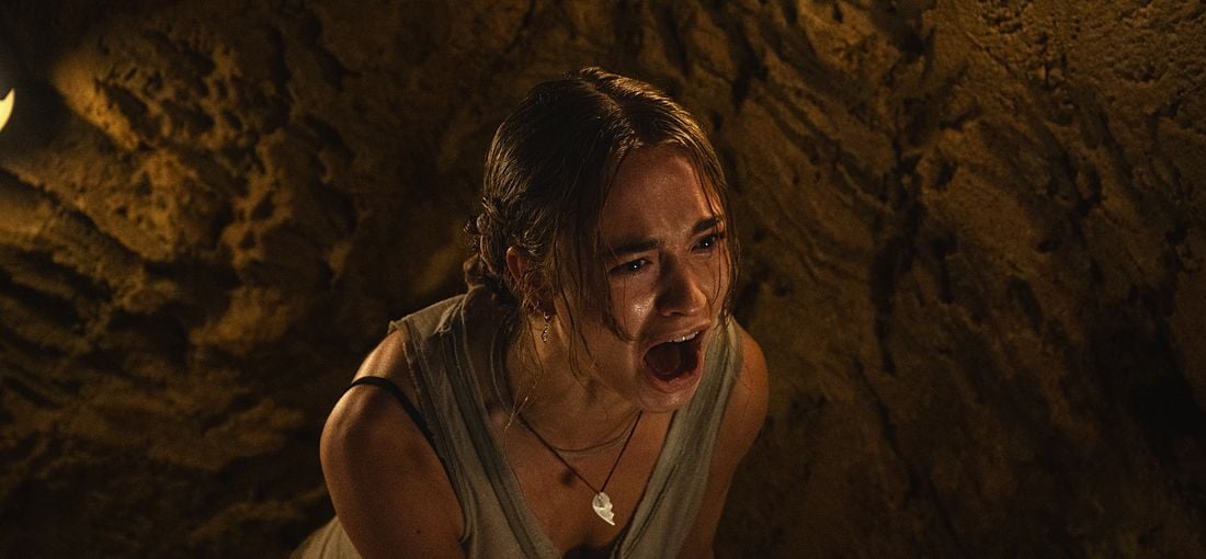 Photo du film Primate