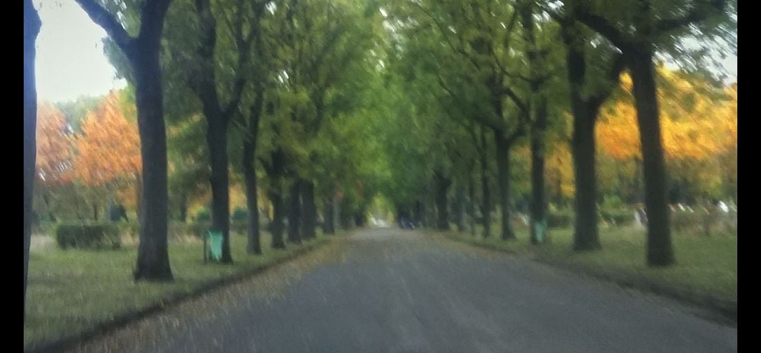 Photo du film Le Sentier des absents