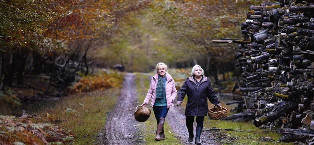 Photo du film Quand vient l'automne