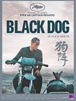Black Dog