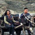 Photo Wang Lan