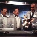 Photo Joe Dante