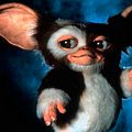 Photo Joe Dante