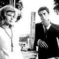 Photo Monica Vitti