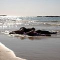 Photo Etgar Keret