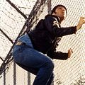 Photo Will Sampson