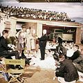 Photo Tippi Hedren