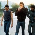 Photo Ralph Macchio