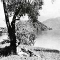 Photo Virginia Valli