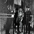 Photo Bradford Dillman