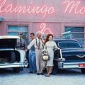 Photo Lolita Davidovich