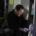 Photo Adam Baldwin