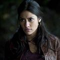 Photo Janina Gavankar