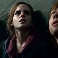 Photo Rupert Grint