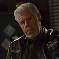 Photo Ron Perlman