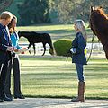 Photo Bo Derek
