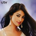 Photo Pooja Hedge