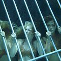 Photo Cariba Heine