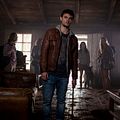 Photo Shiloh Fernandez