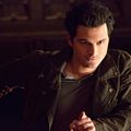 Photo Michael Malarkey
