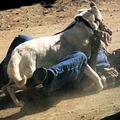 Photo Paul Winfield
