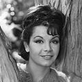 Photo Annette Funicello