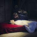 Photo Tatiana Verstraeten