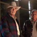 Photo Michael Horse