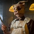 Photo Michael Cerveris
