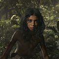 Photo Rohan Chand (II)