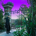 Photo Kento Yamazaki