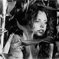 Photo Dawn Wells