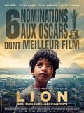 image de la vidéo Lion