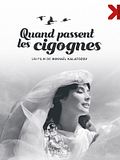 image de la vidéo Quand passent les cigognes