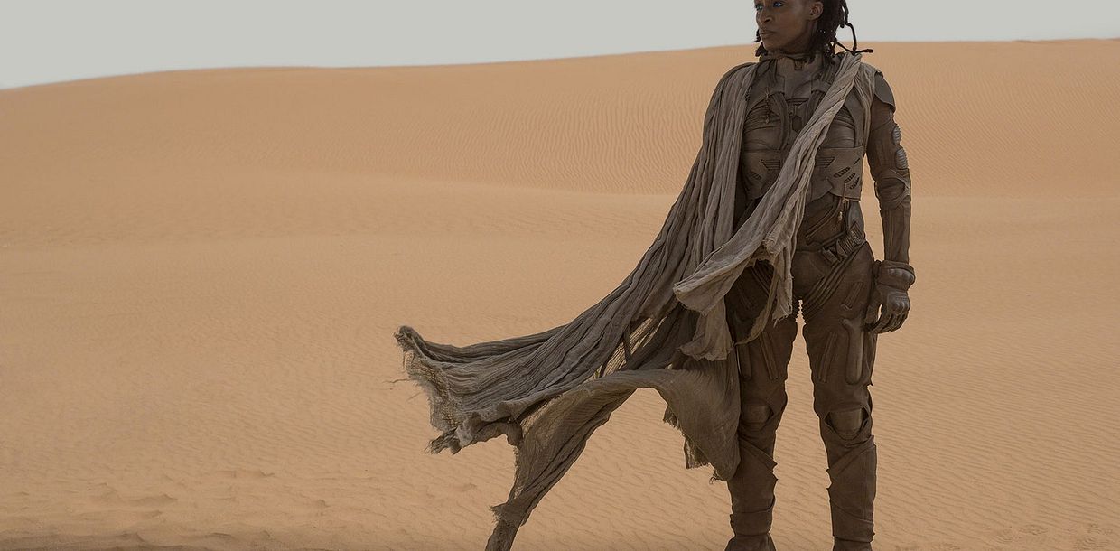Photo 5 pour Dune