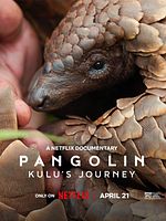 poster de Pangolin : Chemins de vie