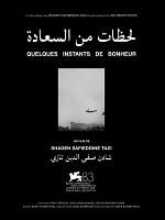 poster de Quelques instants de bonheur