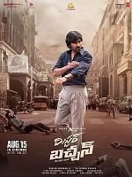 poster de Mr. Bachchan