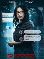 poster de Le chalet des secrets