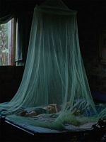 poster de Our Own Shadow