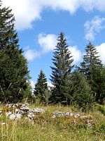 poster de Au cœur des parcs naturels régionnaux de Rhône-Alpes-Auvergne