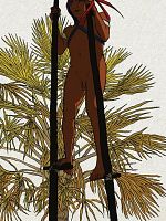 poster de Nimuendajú