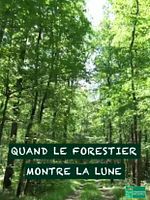 poster de Quand le forestier montre la lune
