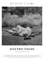 poster de Electric Fields