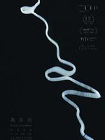 poster de Dark Channel