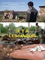 poster de Il y a les maquis